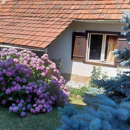 Apartman Nebojsa Rudnik Εξωτερικό φωτογραφία