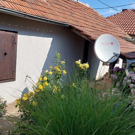 Apartman Nebojsa Rudnik Εξωτερικό φωτογραφία