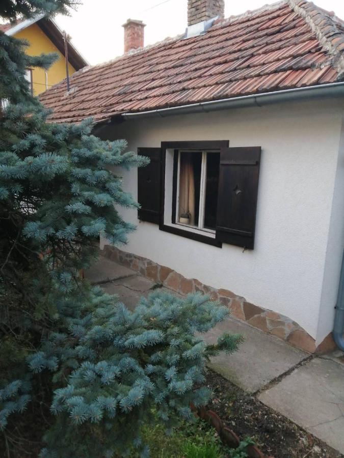 Apartman Nebojsa Rudnik Εξωτερικό φωτογραφία