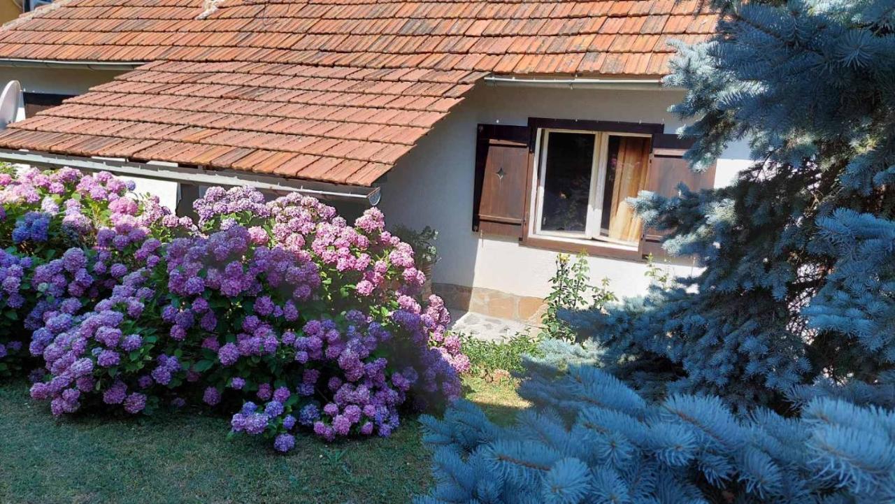 Apartman Nebojsa Rudnik Εξωτερικό φωτογραφία