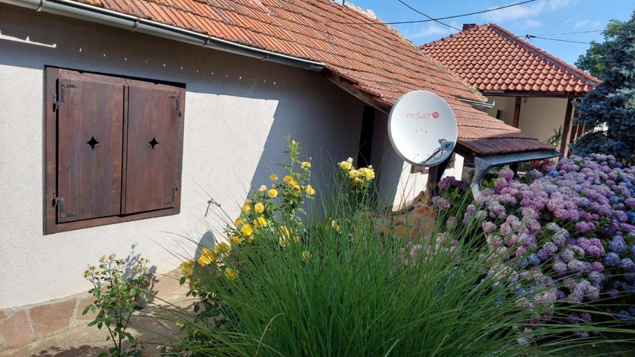 Apartman Nebojsa Rudnik Εξωτερικό φωτογραφία