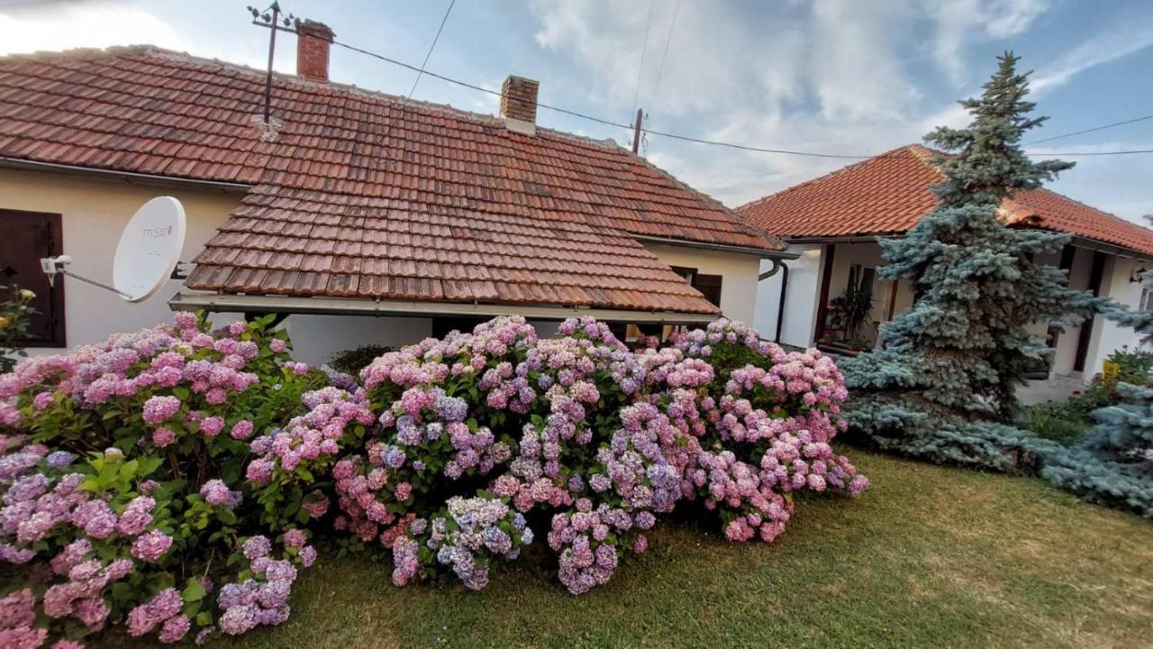 Apartman Nebojsa Rudnik Εξωτερικό φωτογραφία