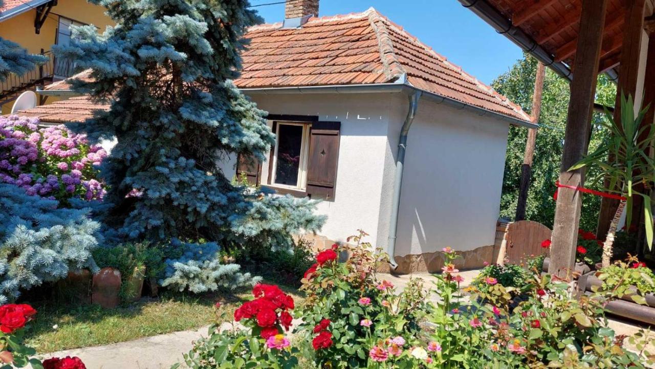 Apartman Nebojsa Rudnik Εξωτερικό φωτογραφία