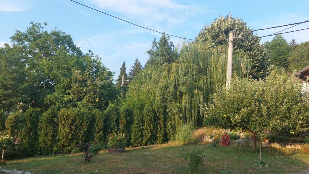 Apartman Nebojsa Rudnik Εξωτερικό φωτογραφία