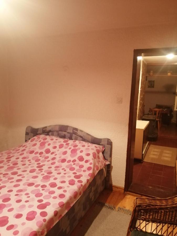 Apartman Nebojsa Rudnik Εξωτερικό φωτογραφία