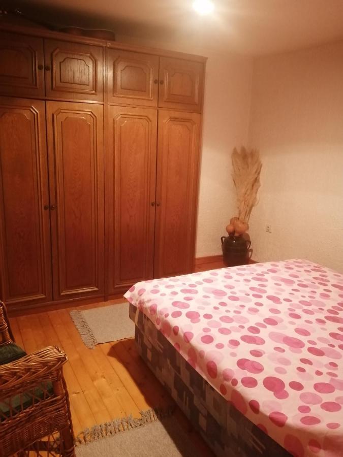 Apartman Nebojsa Rudnik Εξωτερικό φωτογραφία